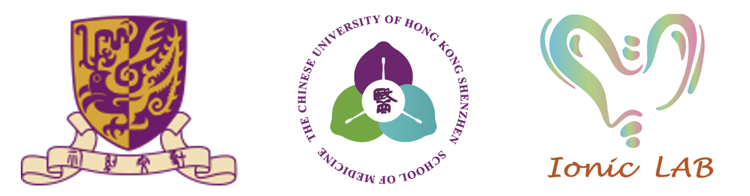 Ionic Lab | Prof. Jinghui GUO